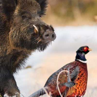 Union des Propriétaires et Chasseurs vignette