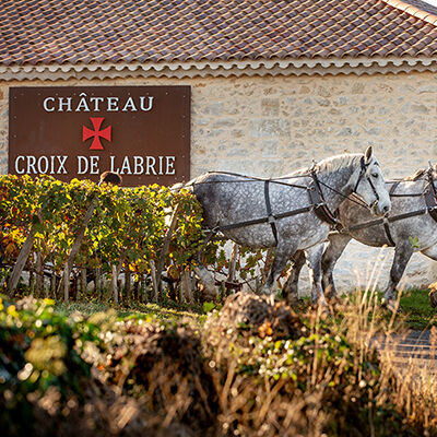 CHATEAU CROIX DE LABRIE vignette